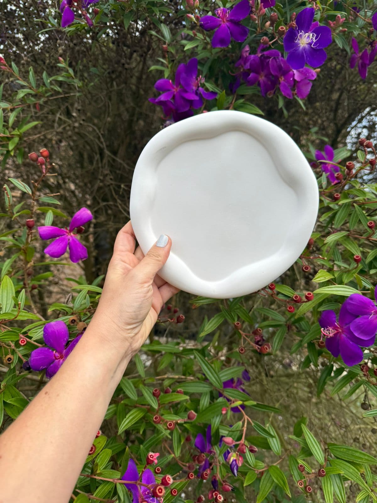 Bandeja redonda borde grueso. - Imagen 1