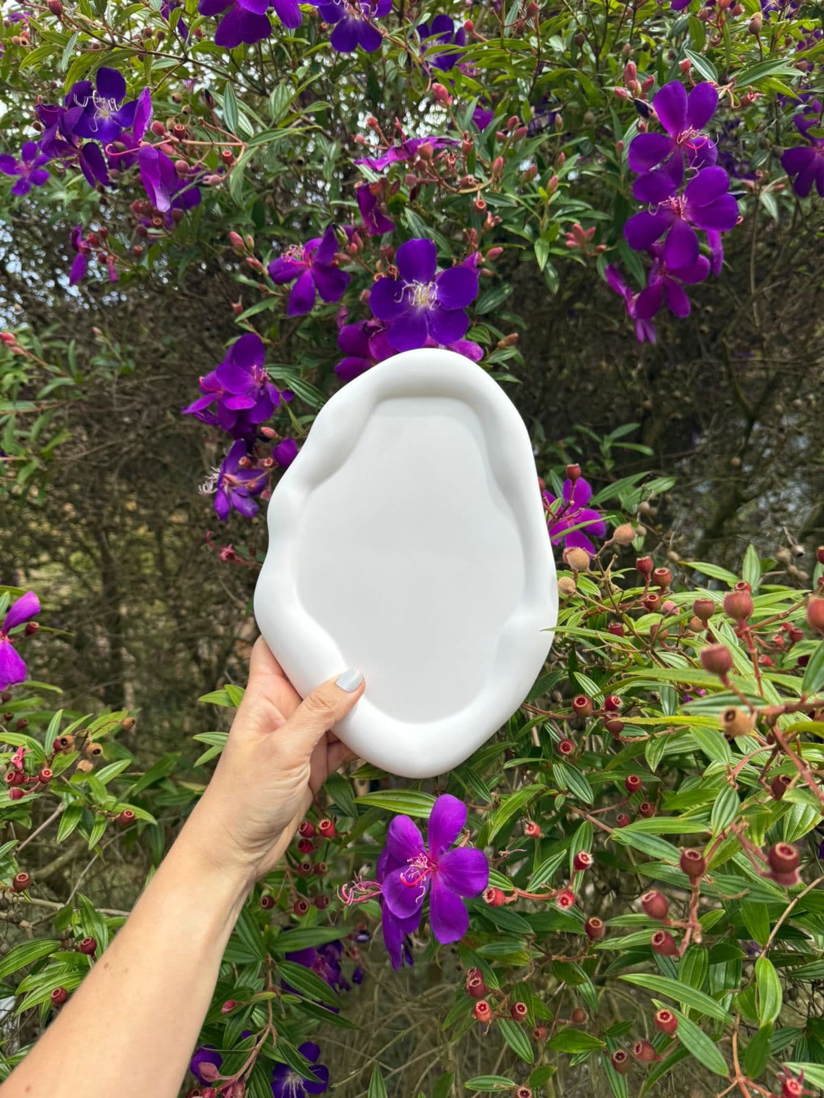 Bandeja asimetrica borde grueso. - Imagen 1