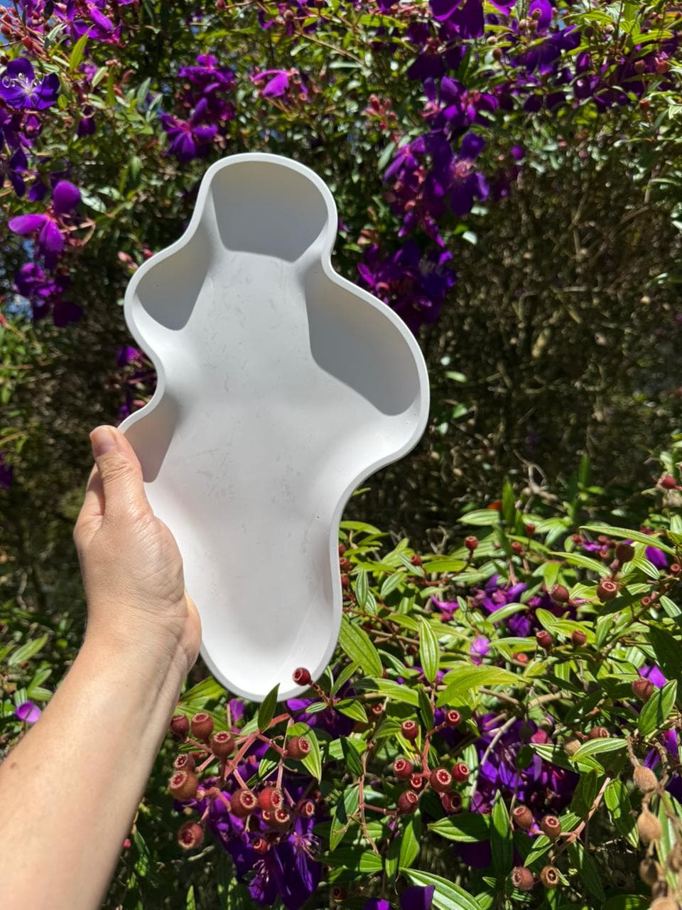 Bandeja olas. - Imagen 1