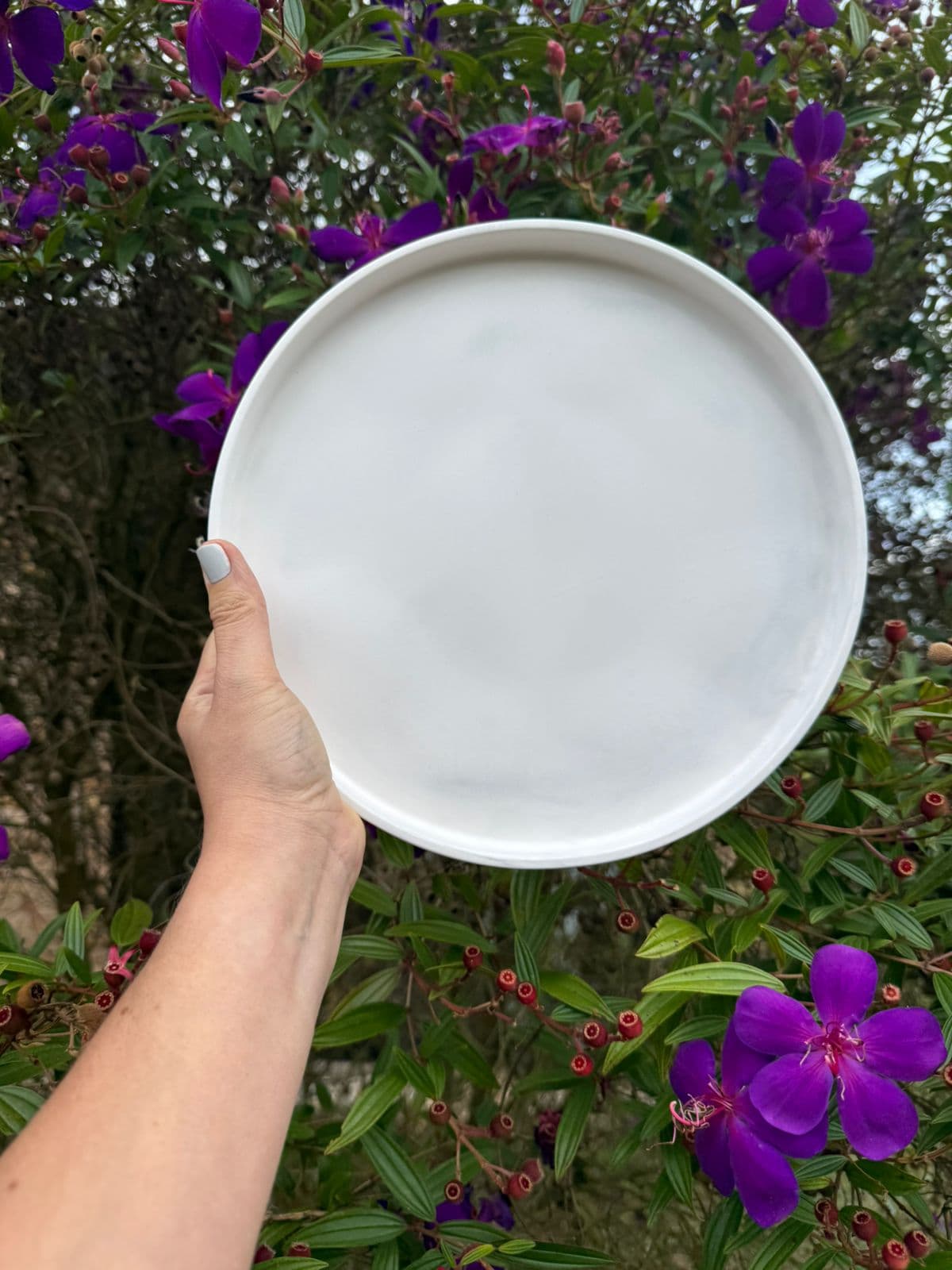 Bandeja básica - Imagen 1