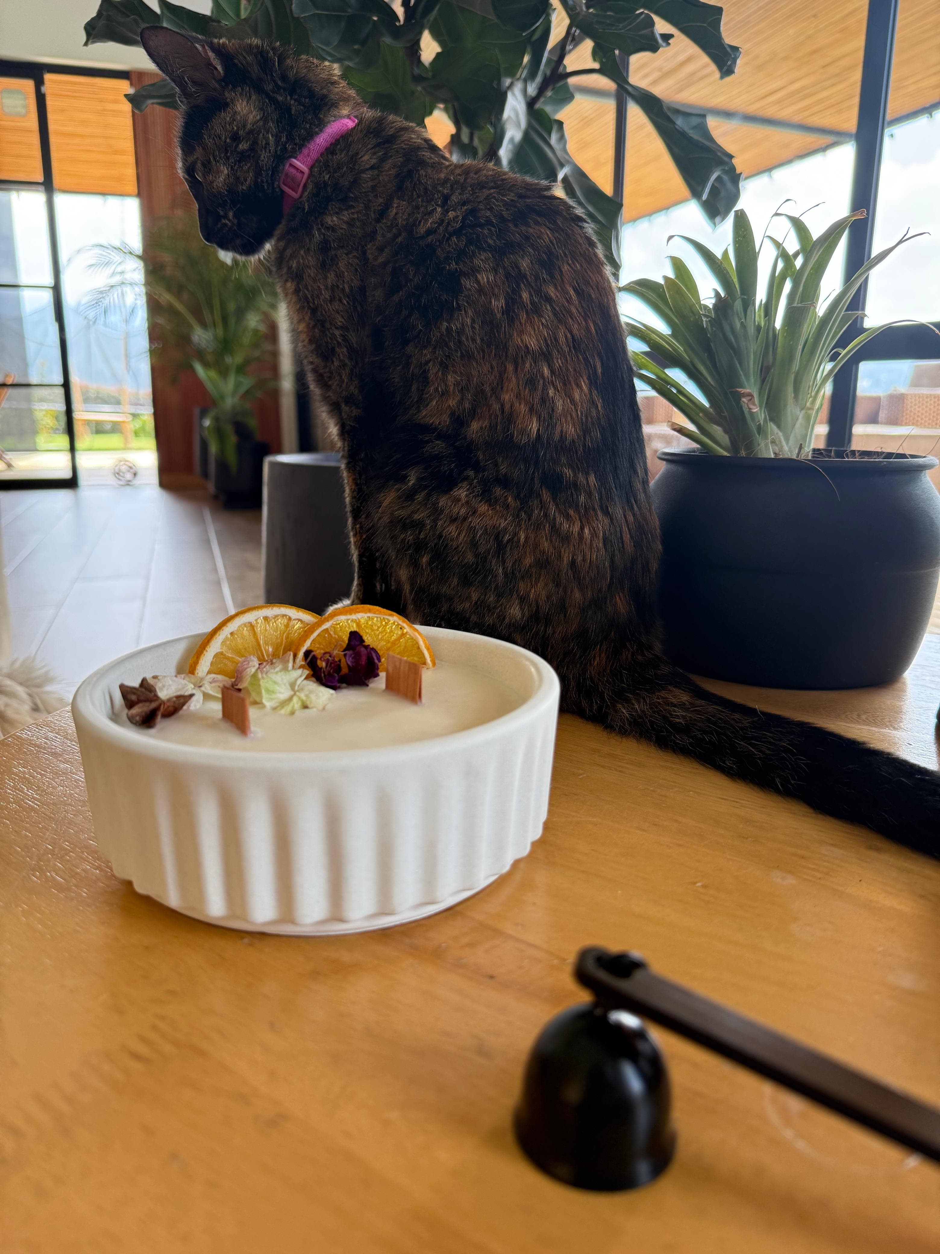 Vela aromática, bowl redondo. - Imagen 1